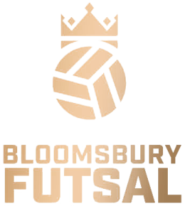 blombsburyfutsal